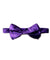Solid Bow Tie - Purple
